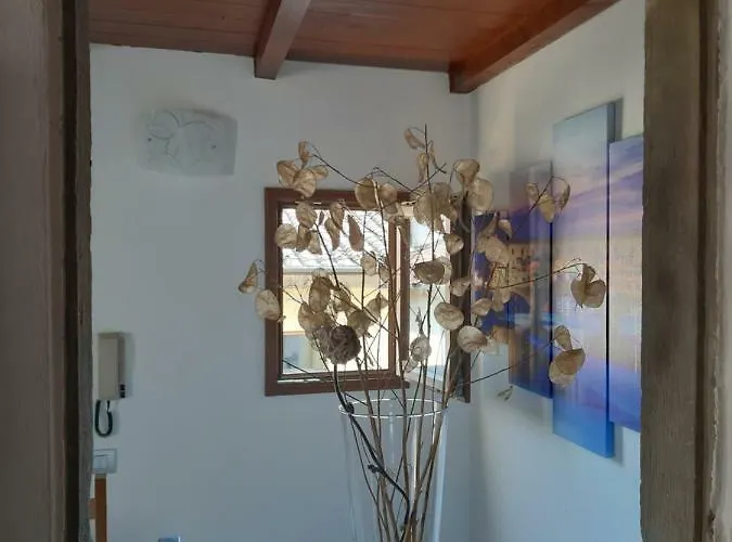 Porcellana Twenty-six Wi-fi Floransa